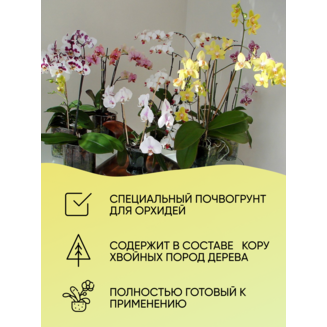 Грунт для Орхидей "Азбука роста" 3 л